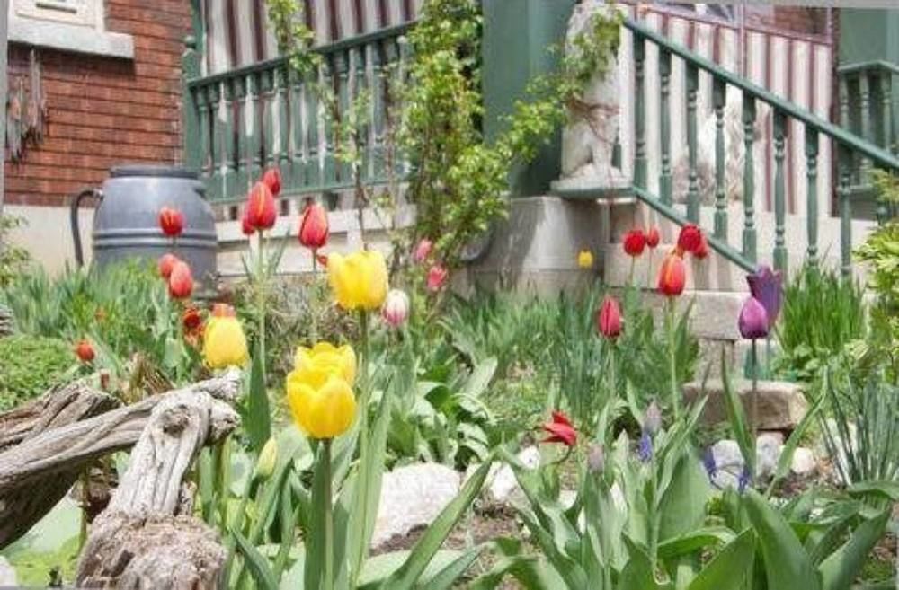 Downtown Bed And Breakfast Ottawa Bagian luar foto