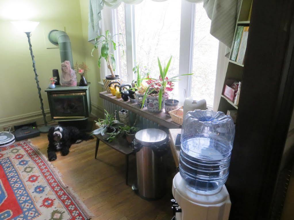 Downtown Bed And Breakfast Ottawa Bagian luar foto
